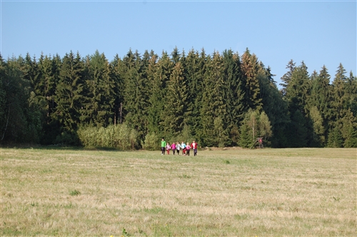 Obrázek v galerii